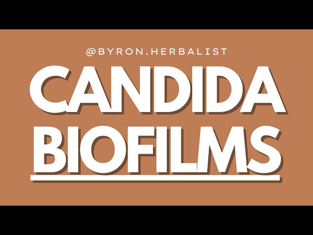 Candida Biofilms: Why You're Not Getting Better