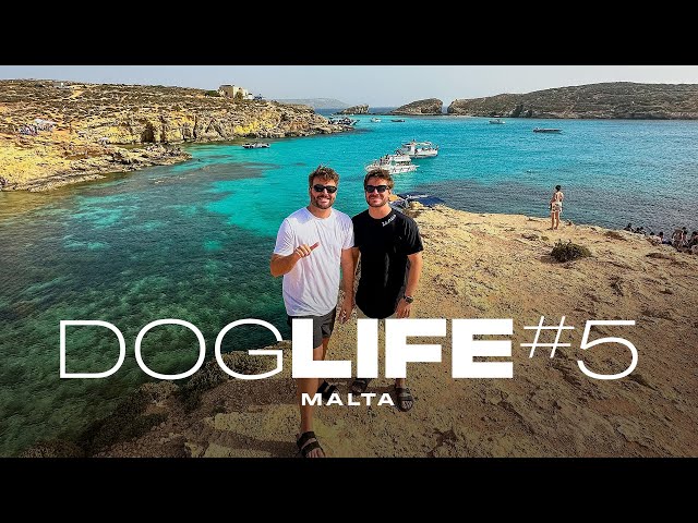 DOGLIFE #5 - Tour em Malta (Vlog)