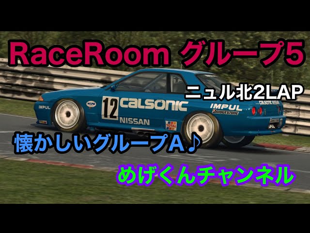 RaceRoom グループ5 ニュル北　2LAP