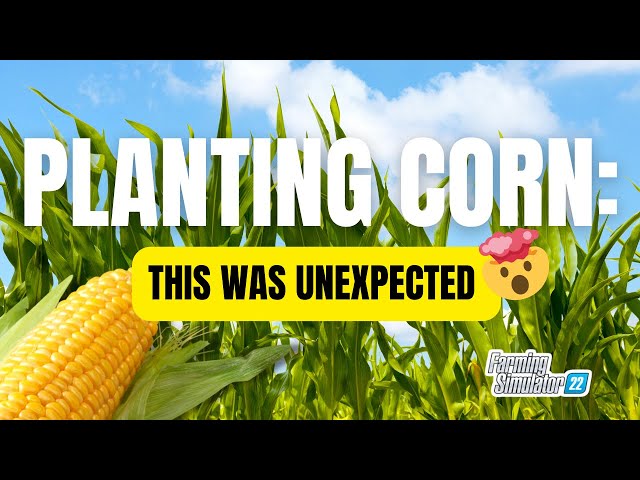 Farming Simulator 22 Planting corn w 2150 Early Riser Planters #fs22 #farmingsimulator22 #johndeere