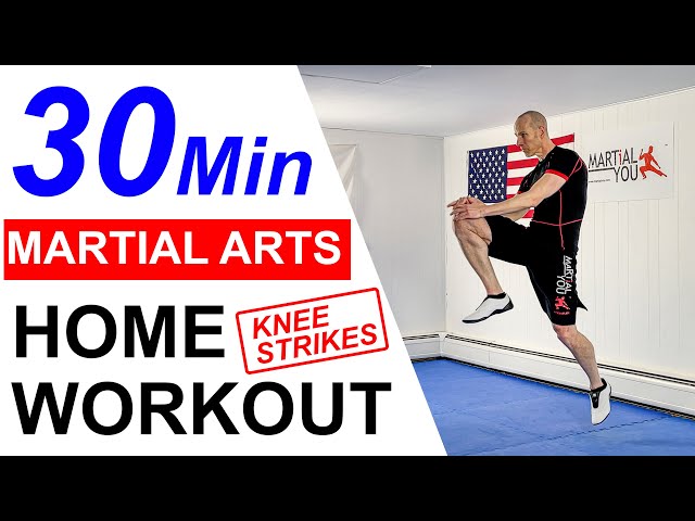 30 Minute Martial Arts Fitness Home Workout with Knee Techniques ( No Equipment )