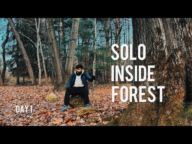 WALK SOLO IN THE FOREST | Vlog 02 | Best of Caps | ASMR