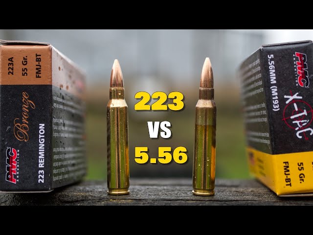 223 vs 5.56 | What's the Difference?