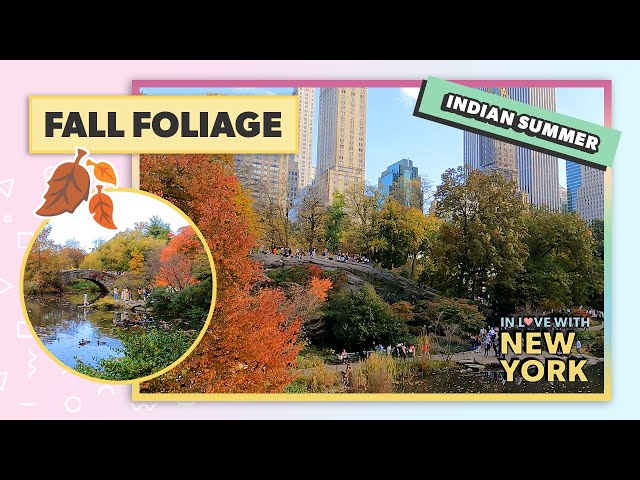 🍂 Central Park Fall Foliage 2022 - Indian Summer in NYC | November 2022