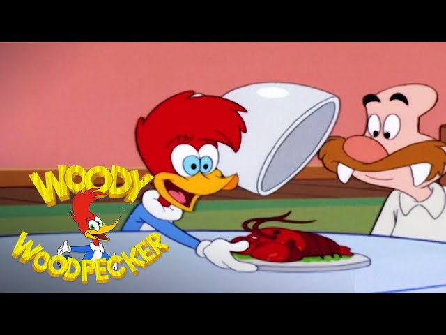 Winnie Opens a New Restaurant | 2 Full Episodes | Woody Woodpecker