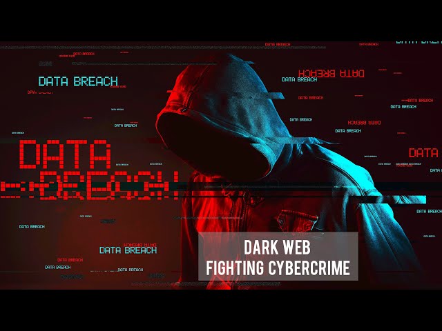 Dark Web Fighting Cybercrime Full Hacking Documentary