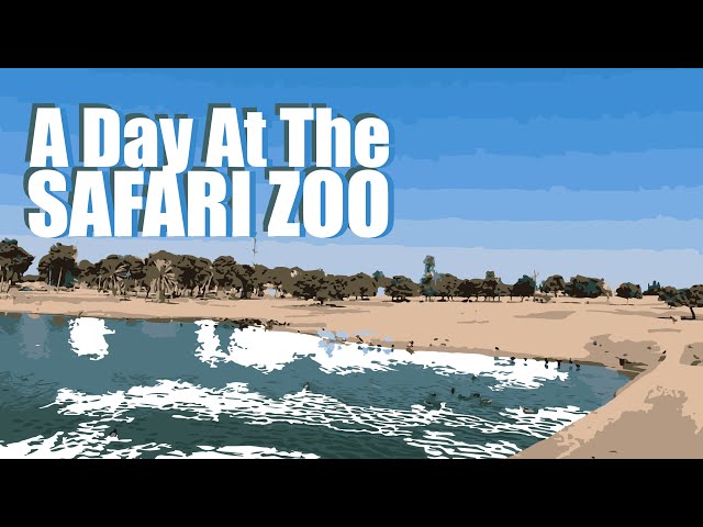 Zoo 2020 - A Day At The Safari Zoo with the animals /// Shot entirely with the DJI Osmo Action