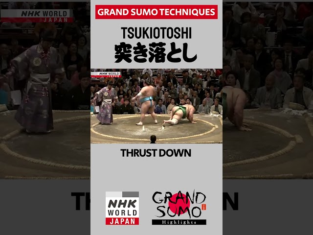#Sumo Technique: TSUKIOTOSHI