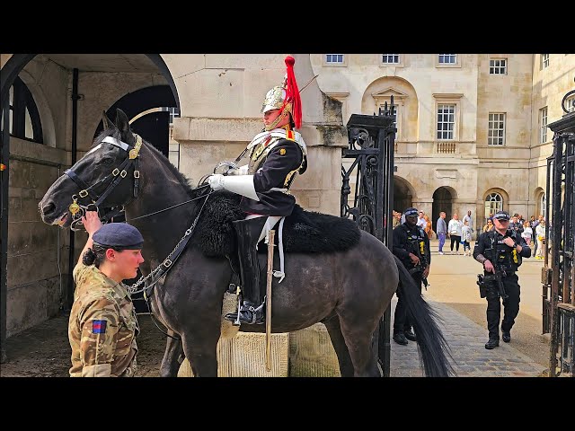 HUGE NEW HORSE IS REMOVED for public safety after freaking out when THIS happened at Horse Guards!
