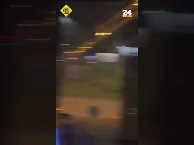 Strašna snimka napada na bus ZET-a! Vozač: 'Urlao je da će me ubiti, imao je nadljudsku snagu'