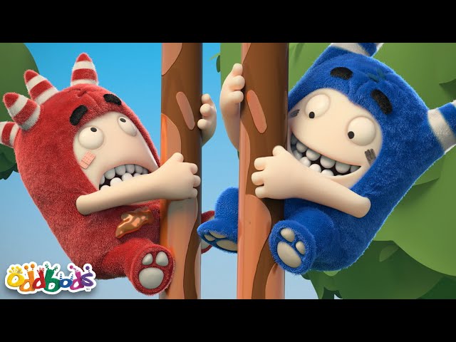 Grease Pole Competition! | Oddbods Full Episode Compilation! | Funny Cartoons for Kids