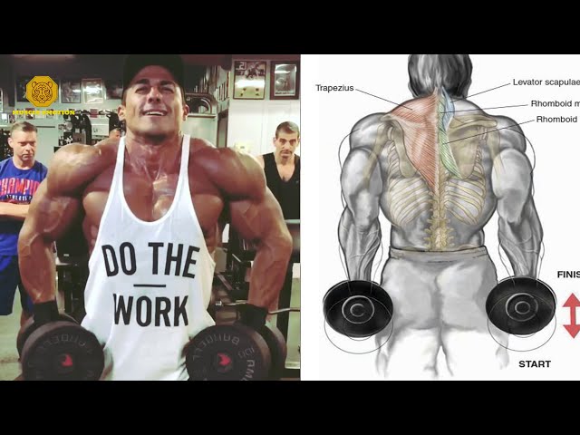 TOP BACK & CHEST IN SUPERSET