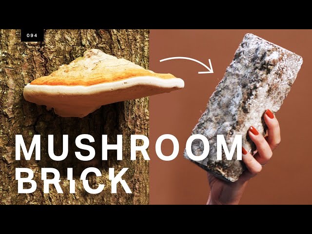 This mushroom brick could replace concrete