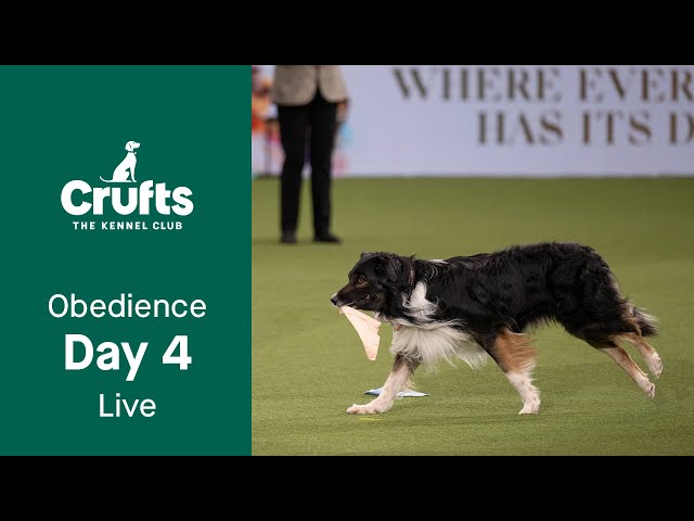 Obedience Day 4 LIVE | Dog Obedience Championship | Crufts 2023
