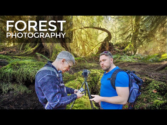 Momma Grumpy Tells Me Off + Forest Photography