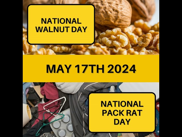 May 17, 2024 | Cracking Nuts and Tidying Up: A Day of Contrasts
