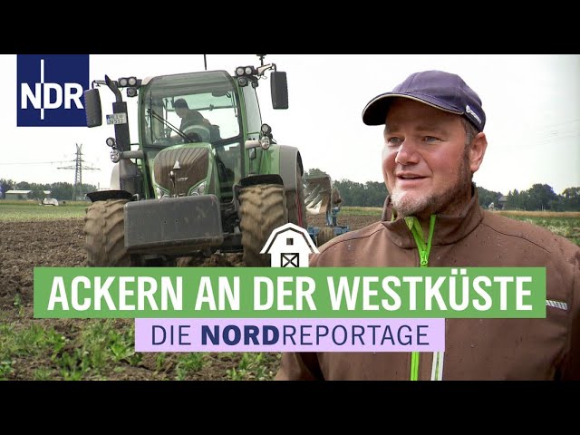 Landwirt am Limit - Dürre, Dauerregen, Erntestress | Die Nordreportage | NDR