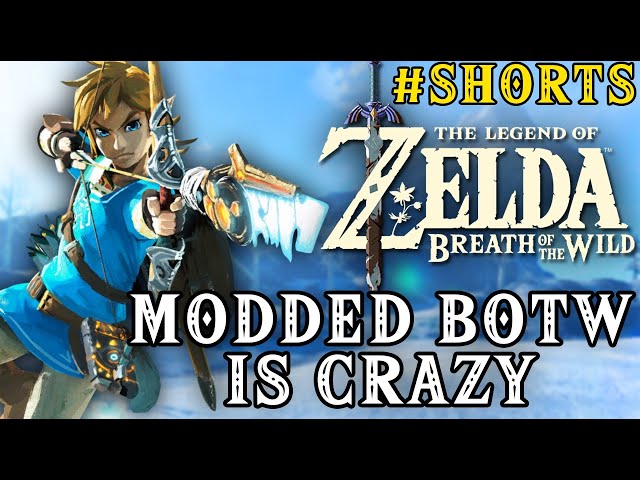 Modded Zelda Breath of the Wild is Crazy