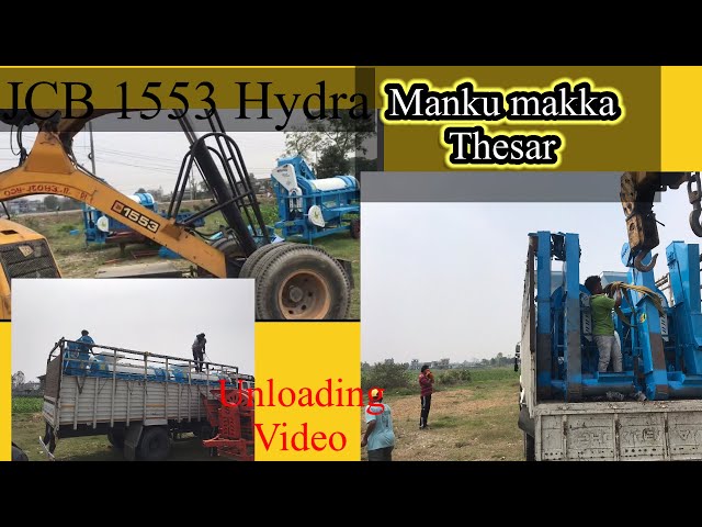 Manku crop force maize thesar unloading by JCB 1553 hydra #jcb #manku #truck