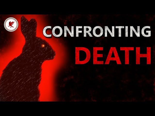 The Meaning of Watership Down & The Plague Dogs | A Critical Analysis