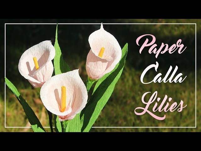 How To Make Crepe Paper Calla Lilies