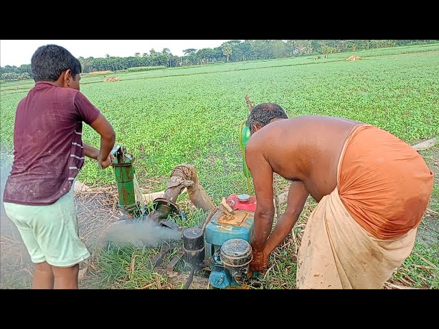 A skill farmer and a boy try to lifting water with machine.5hp diesel engine water pump start.