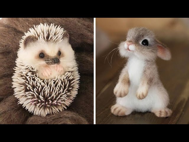 Funny Animals Compilation - Cutest Animals Ever 2020