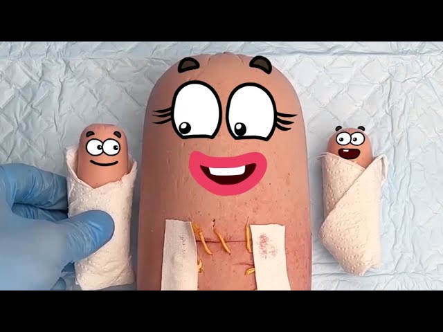 Get ready to laugh: Hilarious animated food doodles in action!
