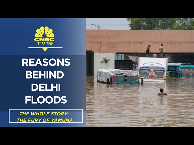 Delhi Flood News: Why Yamuna Is Above Danger Mark? WATCH | The Whole Story | CNBC TV18