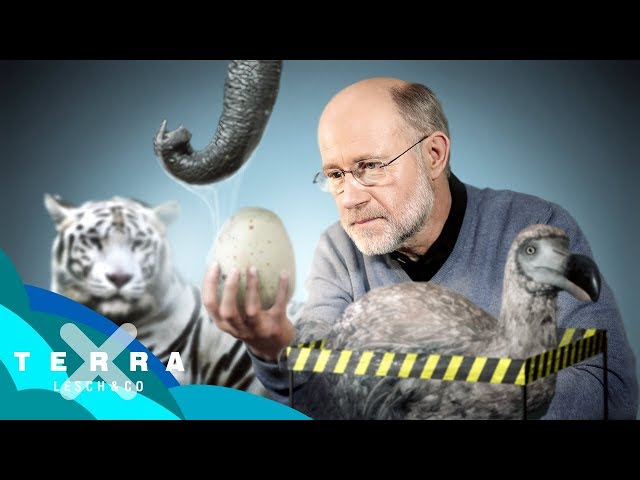 Resurrecting extinct species? | Harald Lesch