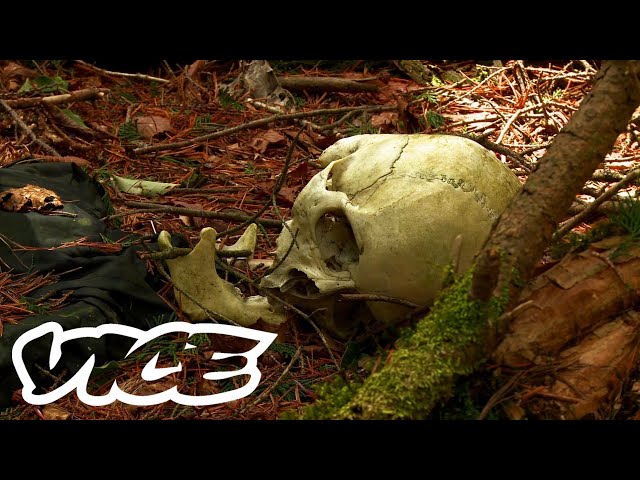 Japan's Forest of Suicides - Aokigahara