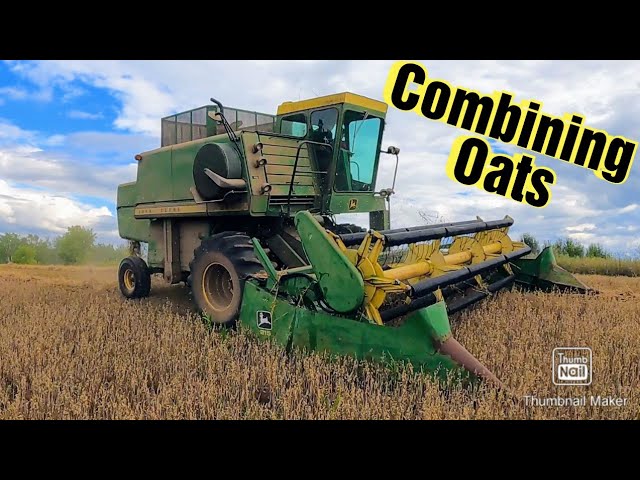 Combining Oats with a Straight Cut Head on a John Deere 6600 Combine