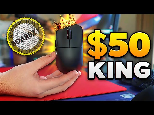 VXE R1 PRO Mouse Review! KING of Budget Mice (SHOCKING)