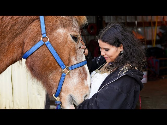 Horse rescue helps Oregon teen though sobriety journey