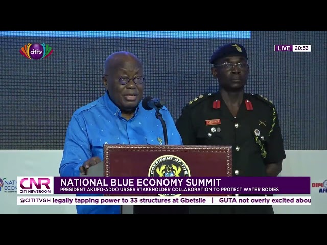 National Blue Economy Summit: Akufo-Addo urges stakeholder collaboration to protect water bodies