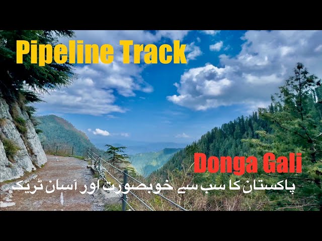 Pipeline Track | Donga Gali | Easiest Track  #nathiagali #travel #mountains #tracking #hiking