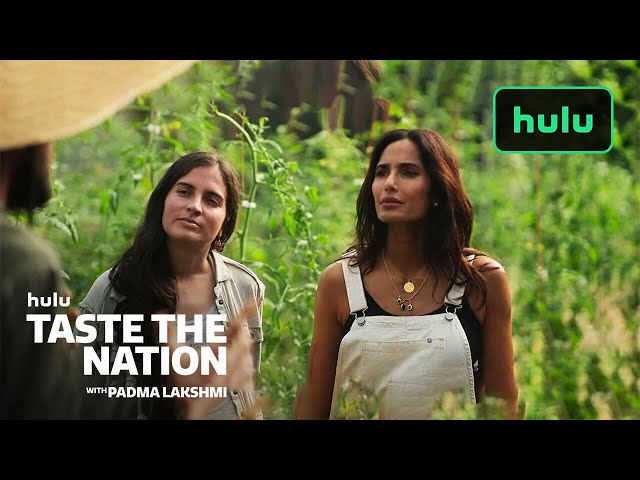 Padma Speaks With the People of Puerto Rico | Taste the Nation with Padma Lakshmi | Hulu