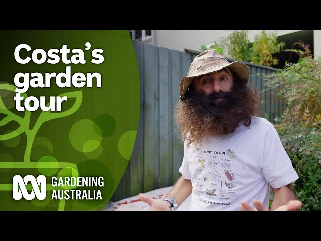 Costa takes us on a quick tour of his garden | Gardening Australia Junior | @abckids