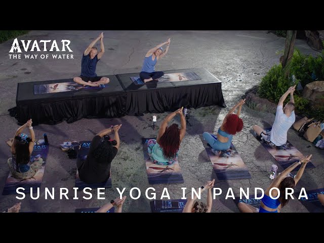 Sunrise Yoga in Pandora | Disney's Animal Kingdom