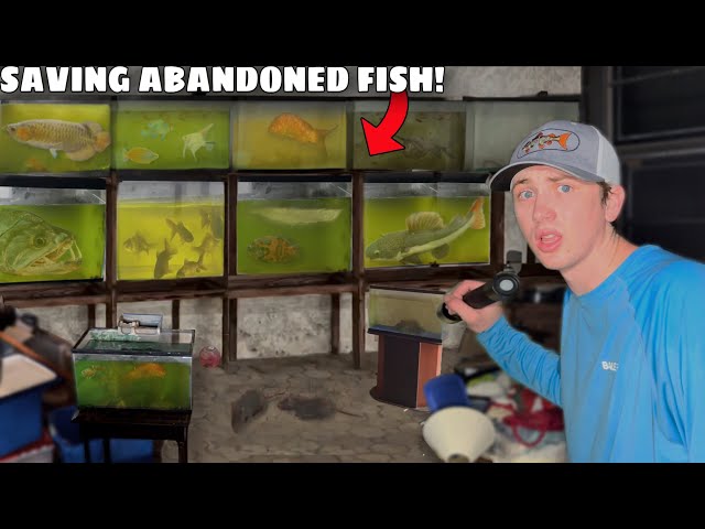 I Saved Fish From an ABANDONED House!