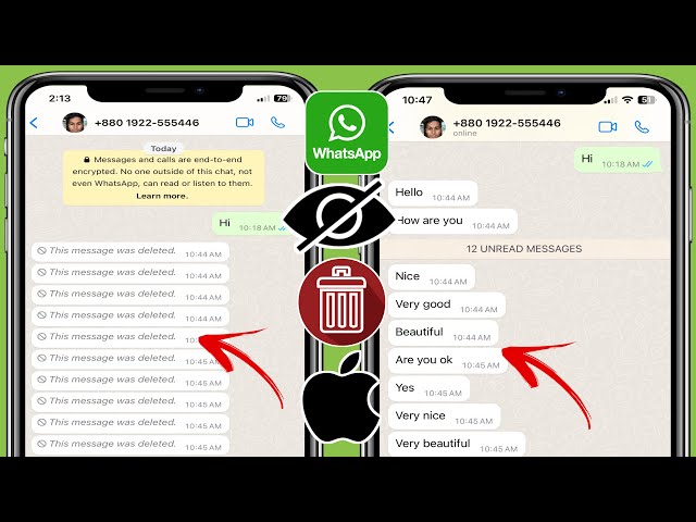 How To See WhatsApp Deleted Messages in iPhone | Recover Deleted WhatsApp Messages (ios)