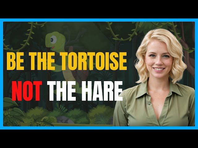Be The Tortoise And Not The Hare