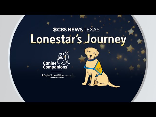 Lonestar goes to puppy class