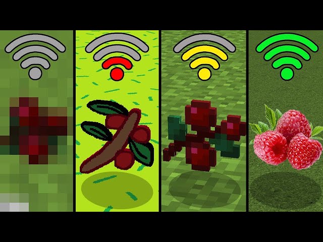 sweet berries with different WI-FI