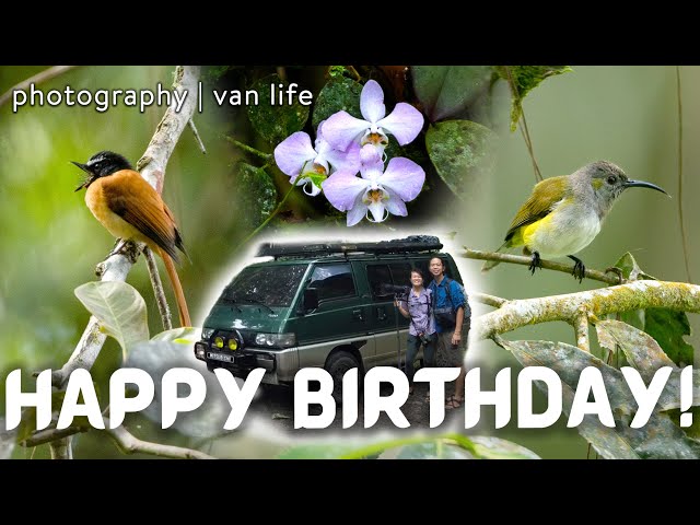 Van Life + Birding | Celine's Birthday Celebration