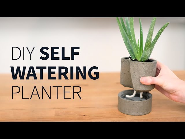 DIY self watering concrete planter | How to