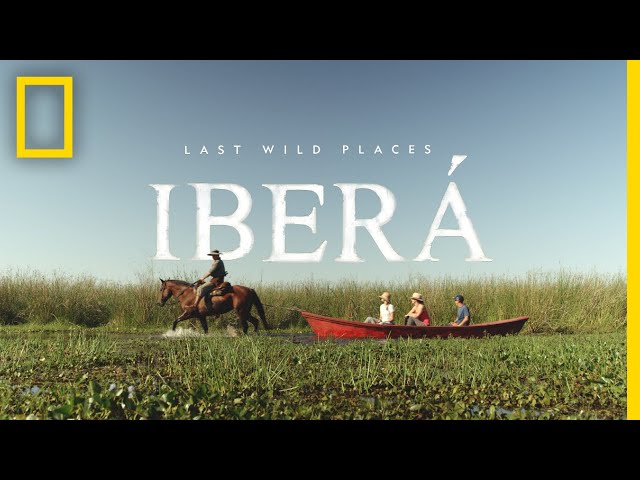 Last Wild Places: Iberá | National Geographic