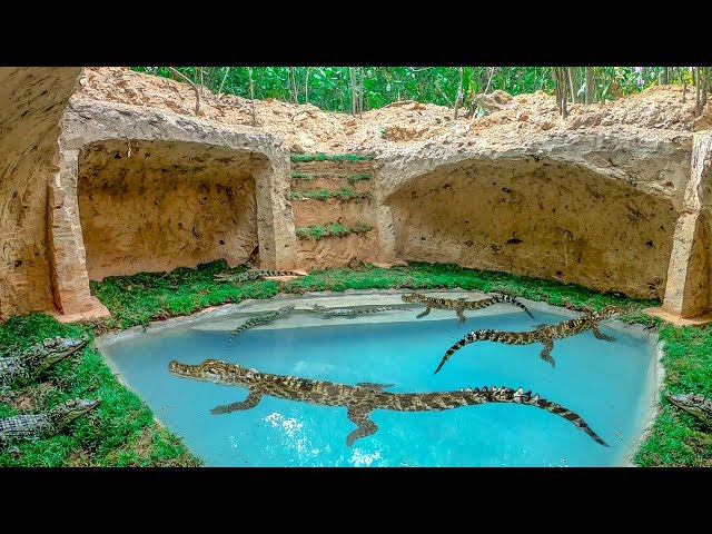 Dig To Build Top Safety Underground Crocodile Pond And Underground Crocodile Habitat