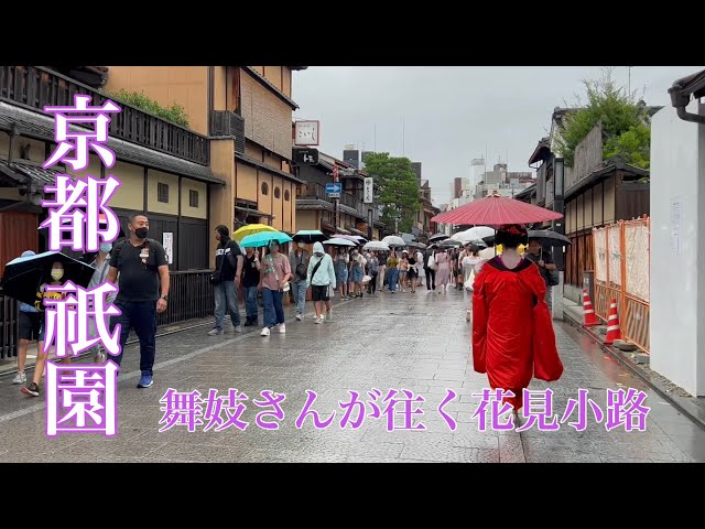 京都祇園 外国人観光客も感激！舞妓さんが往く花見小路を歩く Maiko in Gion,Kyoto 【4K】