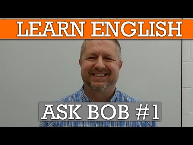 Livestream Questions And Answers About Bob To Help You Learn English